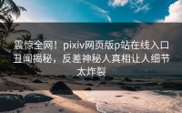 震惊全网！pixiv网页版p站在线入口丑闻揭秘，反差神秘人真相让人细节太炸裂