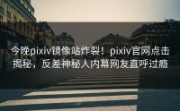 今晚pixiv镜像站炸裂！pixiv官网点击揭秘，反差神秘人内幕网友直呼过瘾