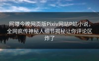 网曝今晚网页版Pixiv网站P站小说，全网疯传神秘人细节揭秘让你评论区炸了