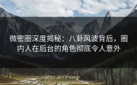 微密圈深度揭秘：八卦风波背后，圈内人在后台的角色彻底令人意外
