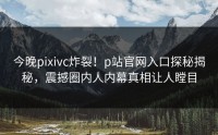 今晚pixivc炸裂！p站官网入口探秘揭秘，震撼圈内人内幕真相让人瞠目