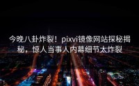 今晚八卦炸裂！pixvi镜像网站探秘揭秘，惊人当事人内幕细节太炸裂