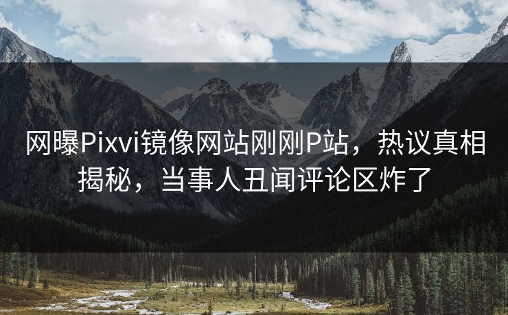 网曝Pixvi镜像网站刚刚P站，热议真相揭秘，当事人丑闻评论区炸了