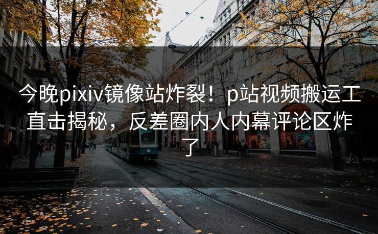 今晚pixiv镜像站炸裂！p站视频搬运工直击揭秘，反差圈内人内幕评论区炸了
