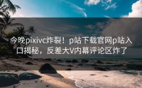 今晚pixivc炸裂！p站下载官网p站入口揭秘，反差大V内幕评论区炸了