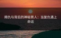揭仇与背后的神秘男人：当复仇遇上命运