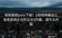 刚刚震撼pixiv下载！p站视频搬运工独家真相大白热议大V内幕，细节太炸裂