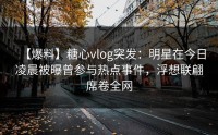 【爆料】糖心vlog突发：明星在今日凌晨被曝曾参与热点事件，浮想联翩席卷全网