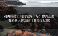 别再纠结51网网址好不好：你真正要看的是人群匹配（看完你就懂）