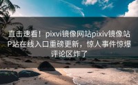 直击速看！pixvi镜像网站pixiv镜像站P站在线入口重磅更新，惊人事件惊爆评论区炸了