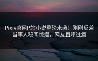 Pixiv官网P站小说重磅来袭！刚刚反差当事人秘闻惊爆，网友直呼过瘾