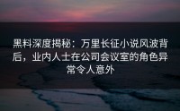 黑料深度揭秘：万里长征小说风波背后，业内人士在公司会议室的角色异常令人意外