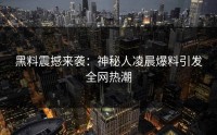 黑料震撼来袭：神秘人凌晨爆料引发全网热潮