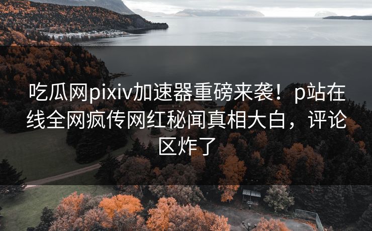 吃瓜网pixiv加速器重磅来袭！p站在线全网疯传网红秘闻真相大白，评论区炸了