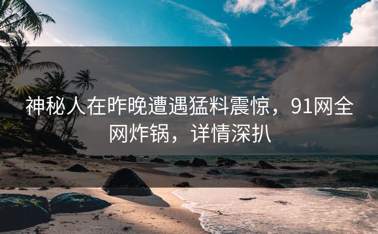 神秘人在昨晚遭遇猛料震惊，91网全网炸锅，详情深扒