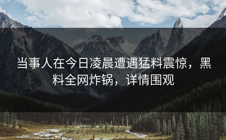 当事人在今日凌晨遭遇猛料震惊，黑料全网炸锅，详情围观
