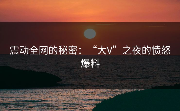 震动全网的秘密：“大V”之夜的愤怒爆料