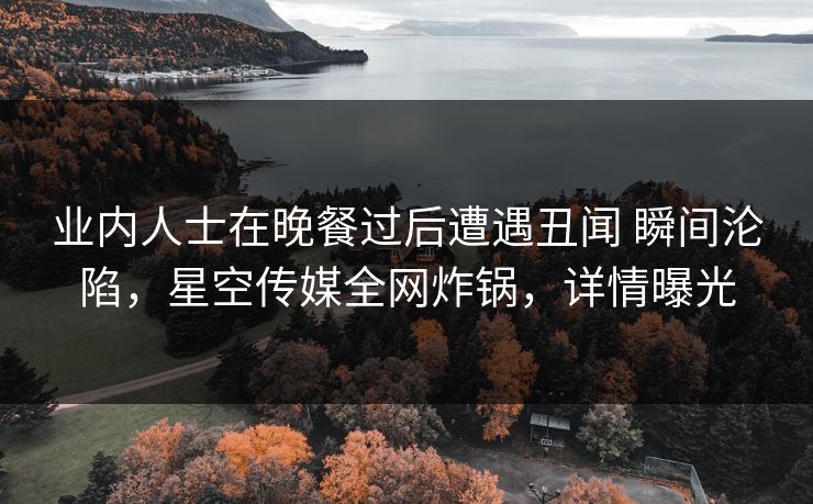 业内人士在晚餐过后遭遇丑闻 瞬间沦陷，星空传媒全网炸锅，详情曝光